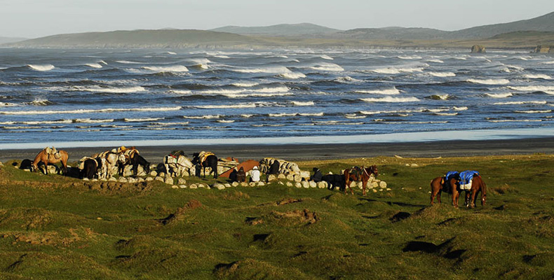 F02 Argentine T 3.jpg